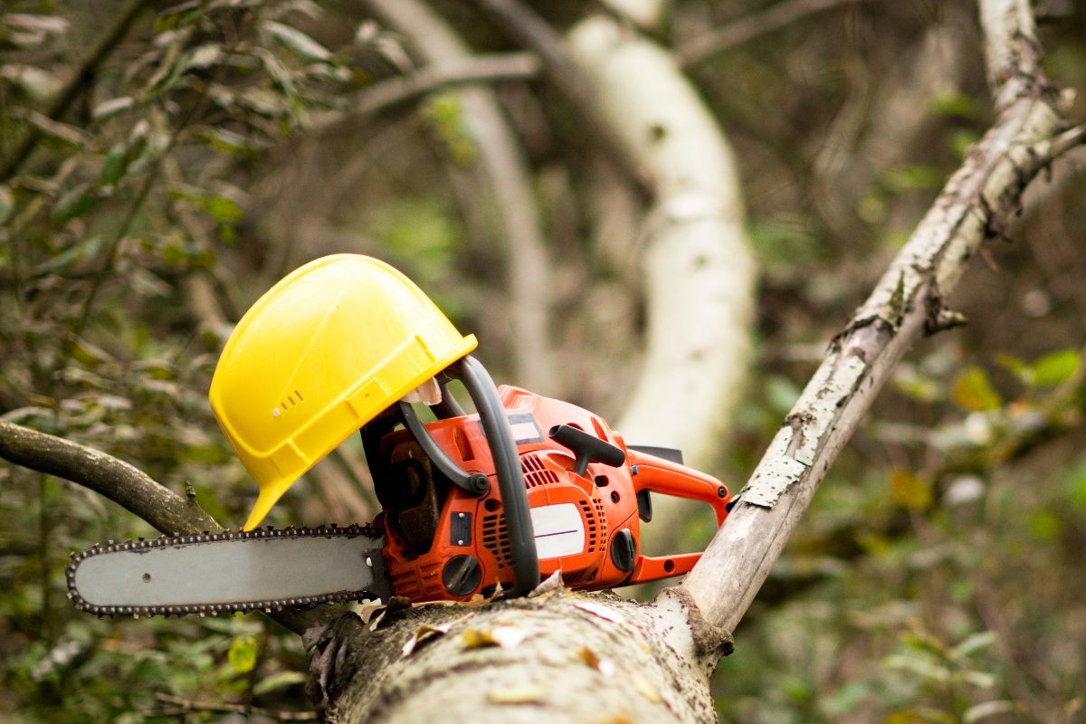 réglage vis la stihl